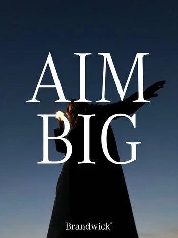 aim big brandwick