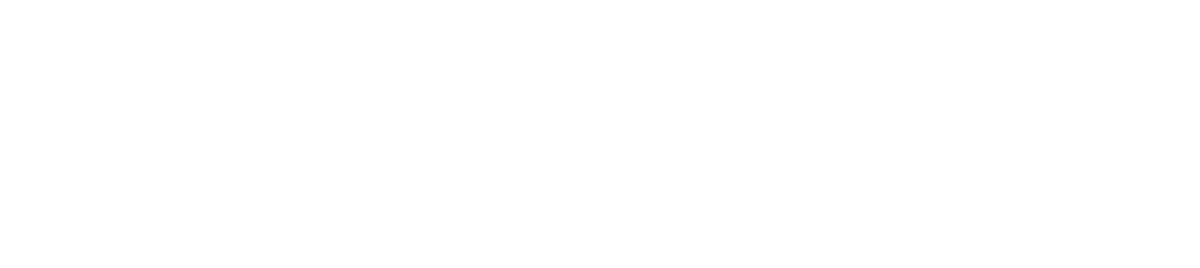brandfio logo white